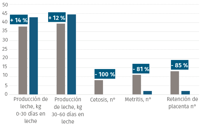 Testimonio